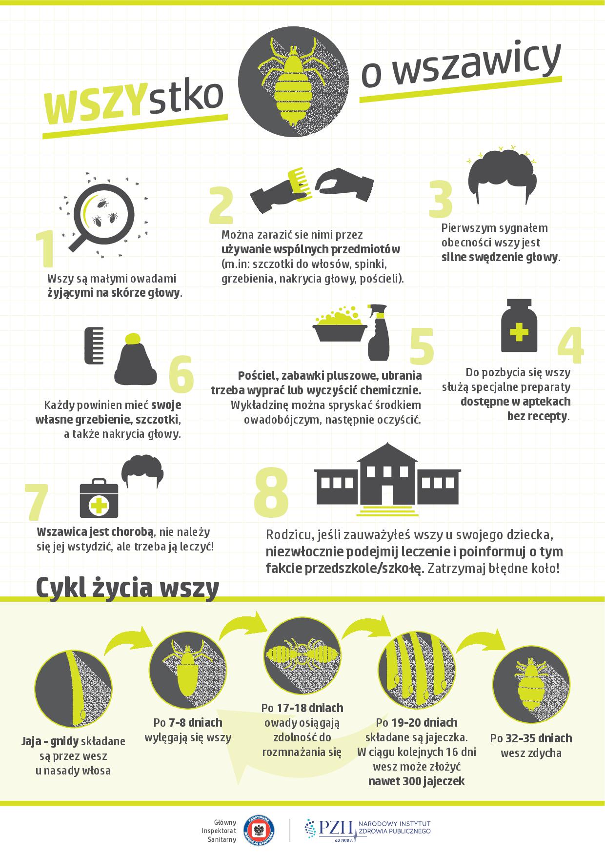 informacje o wszawicy